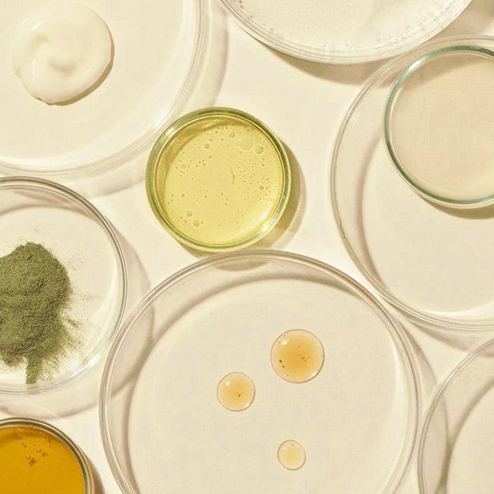 Collection of petri dishes with various samples on a light background
